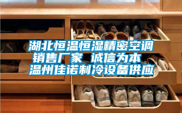 湖北恒溫恒濕精密空調(diào)銷售廠家 誠信為本 溫州佳諾制冷設備供應