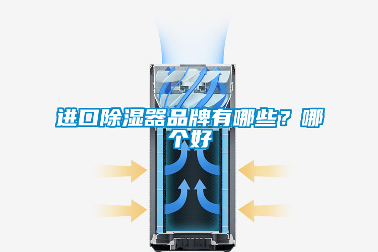 進口除濕器品牌有哪些？哪個好