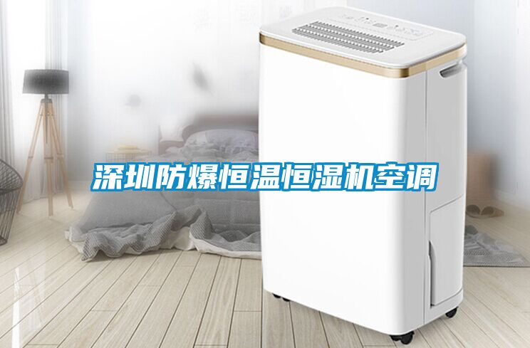 深圳防爆恒溫恒濕機空調(diào)