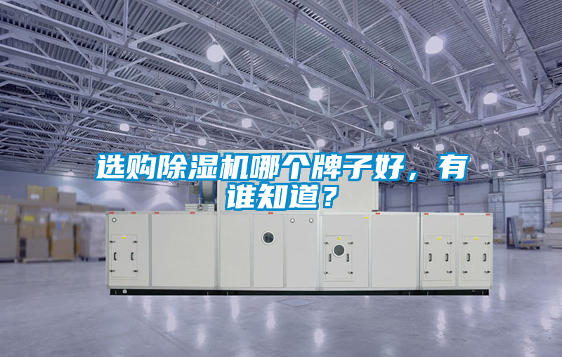選購(gòu)除濕機(jī)哪個(gè)牌子好，有誰(shuí)知道？