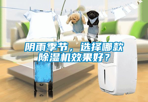 陰雨季節(jié)，選擇哪款除濕機效果好？