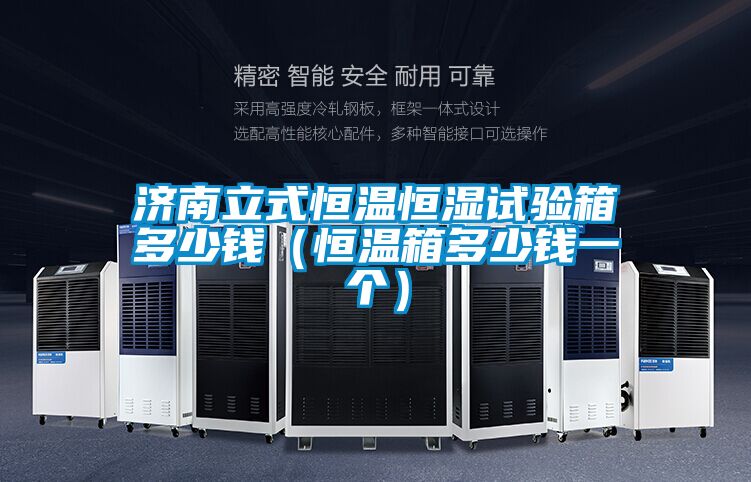 濟(jì)南立式恒溫恒濕試驗箱多少錢（恒溫箱多少錢一個）