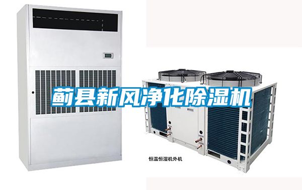 薊縣新風(fēng)凈化除濕機