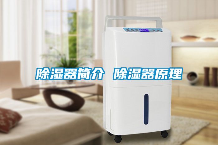 除濕器簡(jiǎn)介 除濕器原理