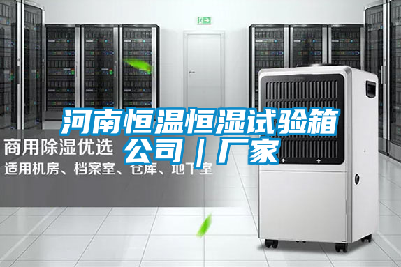 河南恒溫恒濕試驗箱公司｜廠家
