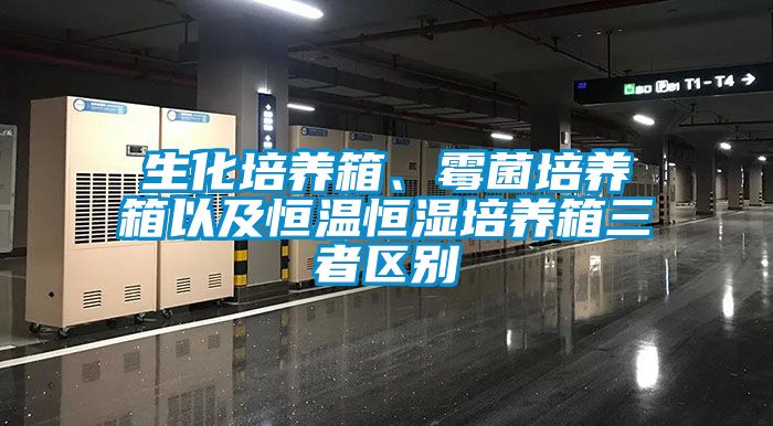 生化培養(yǎng)箱、霉菌培養(yǎng)箱以及恒溫恒濕培養(yǎng)箱三者區(qū)別