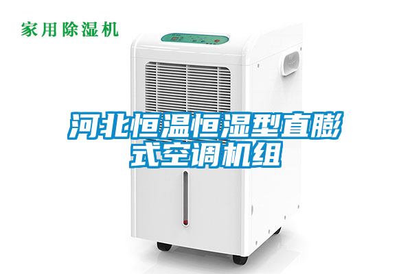 河北恒溫恒濕型直膨式空調(diào)機(jī)組