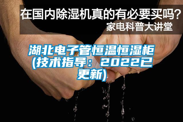湖北電子管恒溫恒濕柜(技術指導：2022已更新)
