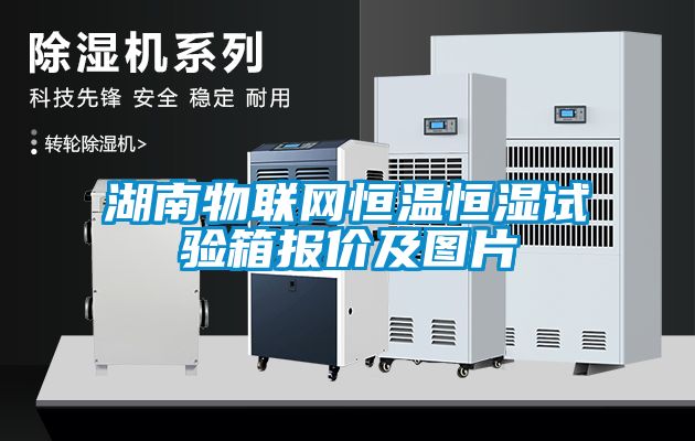湖南物聯(lián)網(wǎng)恒溫恒濕試驗箱報價及圖片