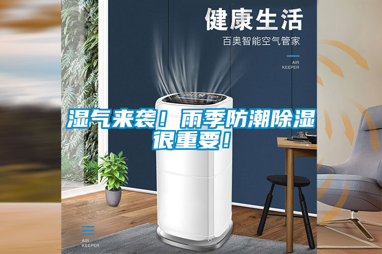 濕氣來襲！雨季防潮除濕很重要！