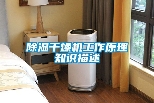 除濕干燥機(jī)工作原理知識描述