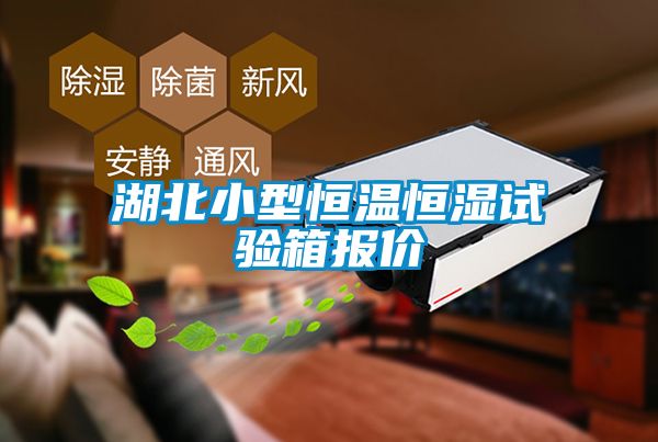 湖北小型恒溫恒濕試驗(yàn)箱報(bào)價(jià)