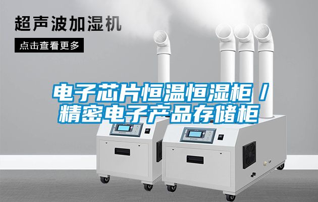 電子芯片恒溫恒濕柜／精密電子產(chǎn)品存儲(chǔ)柜