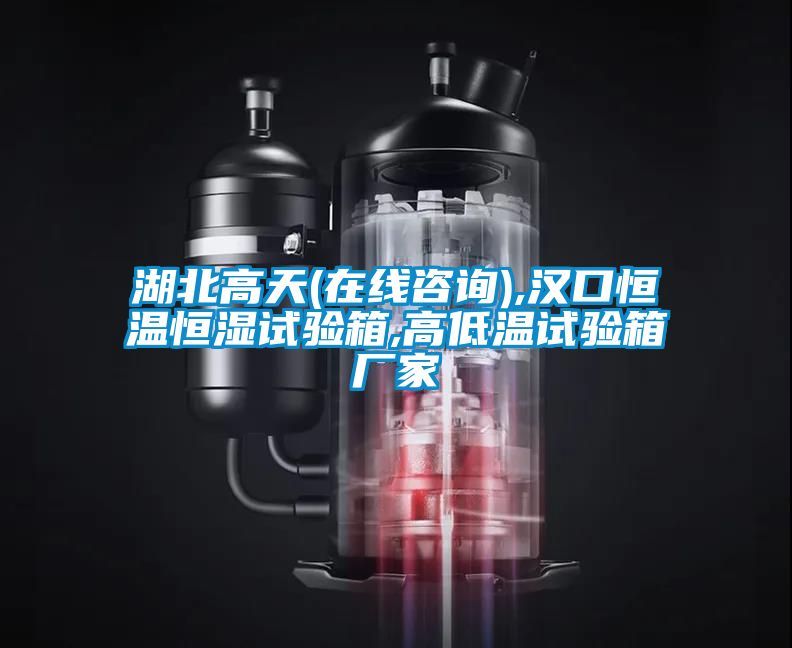湖北高天(在線咨詢),漢口恒溫恒濕試驗箱,高低溫試驗箱廠家