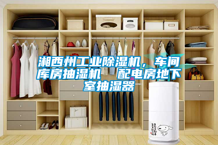 湘西州工業(yè)除濕機，車間庫房抽濕機  配電房地下室抽濕器