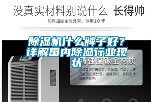 除濕機(jī)什么牌子好？詳解國(guó)內(nèi)除濕行業(yè)現(xiàn)狀