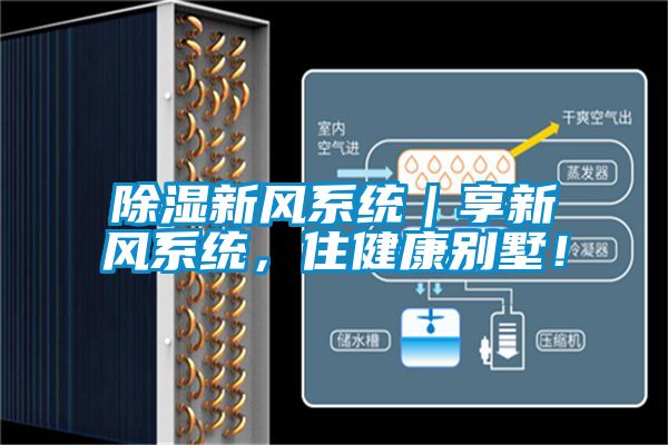 除濕新風(fēng)系統(tǒng)｜享新風(fēng)系統(tǒng)，住健康別墅！