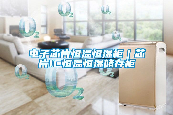 電子芯片恒溫恒濕柜｜芯片IC恒溫恒濕儲(chǔ)存柜