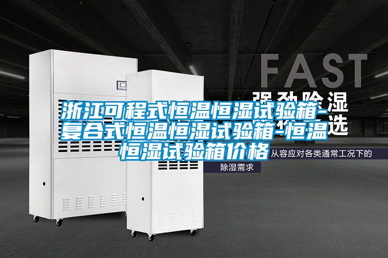 浙江可程式恒溫恒濕試驗箱-復合式恒溫恒濕試驗箱-恒溫恒濕試驗箱價格