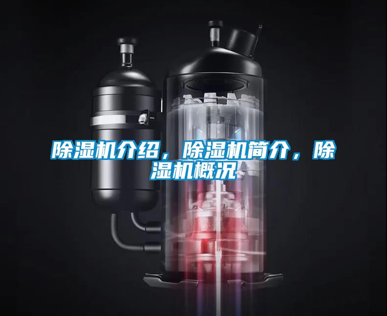 除濕機(jī)介紹，除濕機(jī)簡介，除濕機(jī)概況