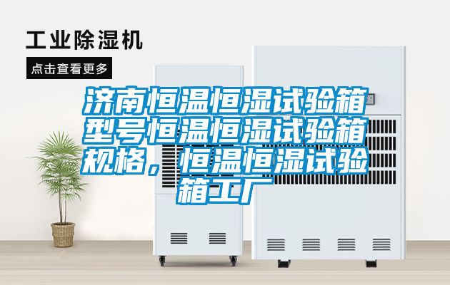 濟(jì)南恒溫恒濕試驗箱型號恒溫恒濕試驗箱規(guī)格，恒溫恒濕試驗箱工廠