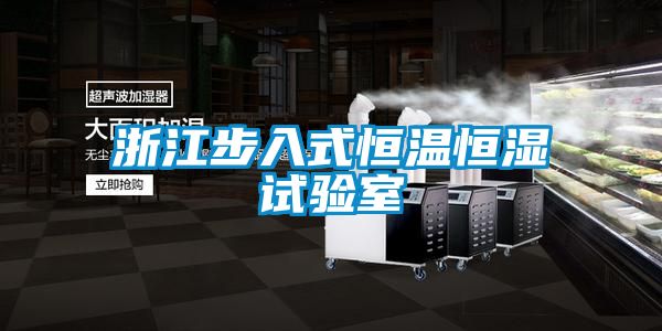 浙江步入式恒溫恒濕試驗室