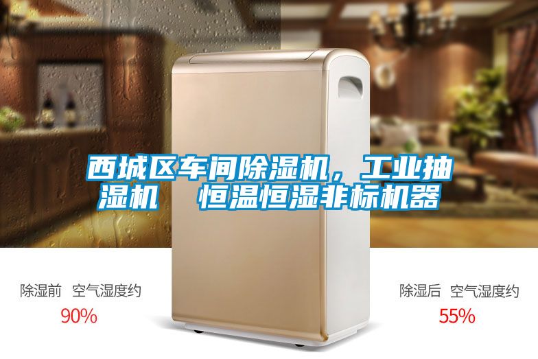 西城區(qū)車(chē)間除濕機(jī)，工業(yè)抽濕機(jī)  恒溫恒濕非標(biāo)機(jī)器