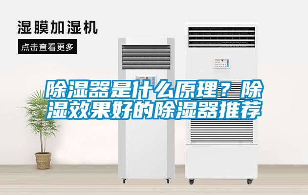 除濕器是什么原理？除濕效果好的除濕器推薦