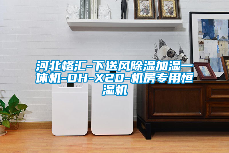 河北格匯-下送風除濕加濕一體機-DH-X20-機房專用恒濕機