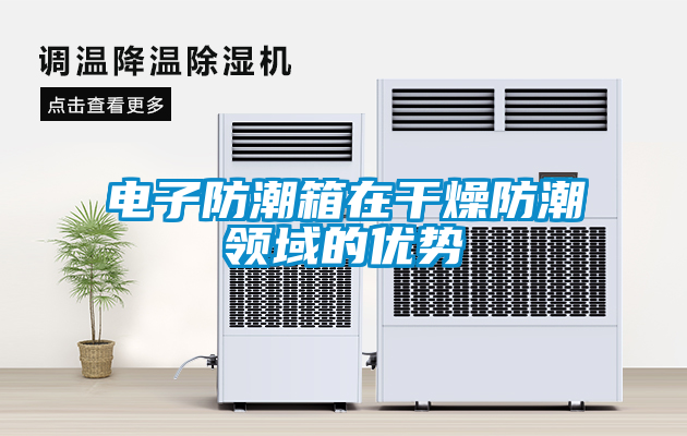 電子防潮箱在干燥防潮領域的優(yōu)勢