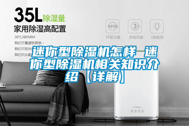 迷你型除濕機(jī)怎樣 迷你型除濕機(jī)相關(guān)知識介紹【詳解】