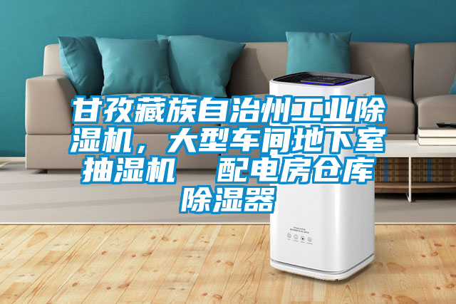 甘孜藏族自治州工業(yè)除濕機(jī)，大型車間地下室抽濕機(jī)  配電房倉(cāng)庫(kù)除濕器
