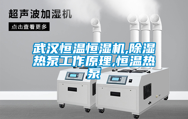武漢恒溫恒濕機,除濕熱泵工作原理,恒溫?zé)岜?></div>
								<div   id=