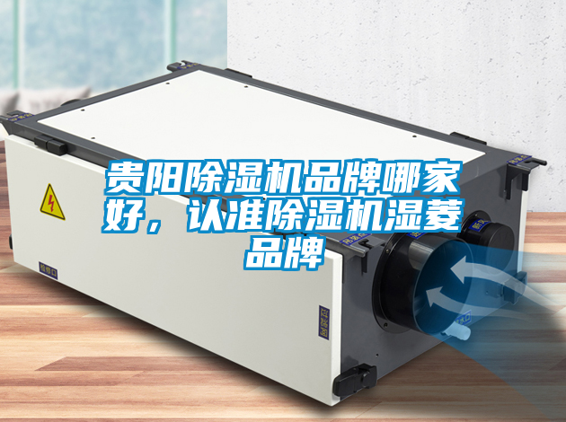 貴陽除濕機品牌哪家好，認準除濕機濕菱品牌