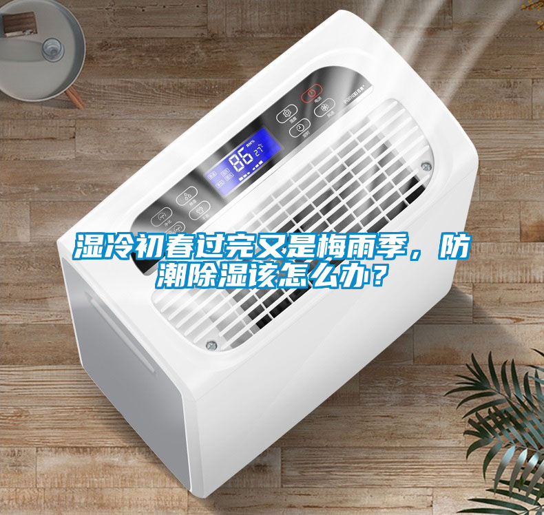 濕冷初春過完又是梅雨季，防潮除濕該怎么辦？