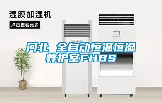 河北 全自動恒溫恒濕養(yǎng)護(hù)室FHBS