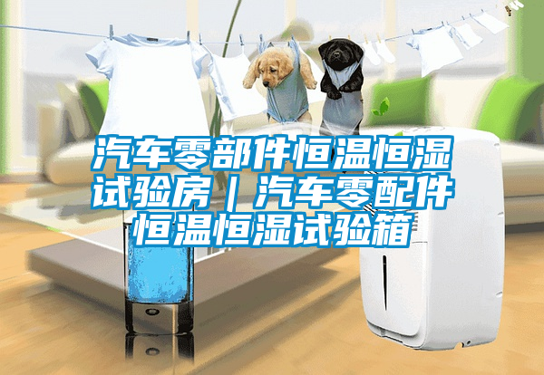 汽車(chē)零部件恒溫恒濕試驗(yàn)房｜汽車(chē)零配件恒溫恒濕試驗(yàn)箱
