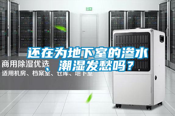 還在為地下室的滲水、潮濕發(fā)愁嗎？