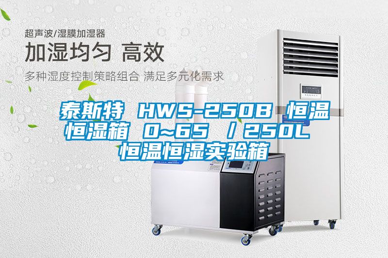 泰斯特 HWS-250B 恒溫恒濕箱 0~65℃／250L 恒溫恒濕實(shí)驗(yàn)箱