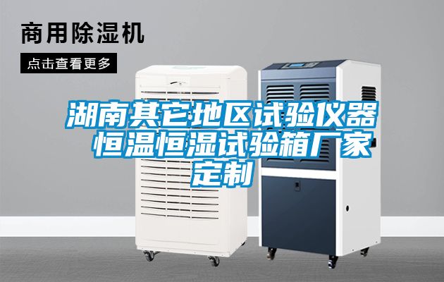 湖南其它地區(qū)試驗儀器 恒溫恒濕試驗箱廠家定制