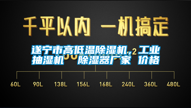遂寧市高低溫除濕機，工業(yè)抽濕機  除濕器廠家 價格
