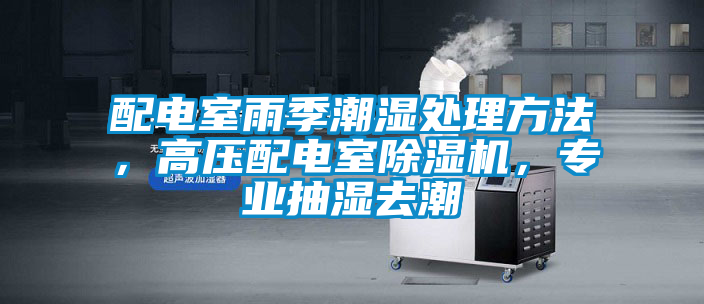 配電室雨季潮濕處理方法，高壓配電室除濕機(jī)，專業(yè)抽濕去潮
