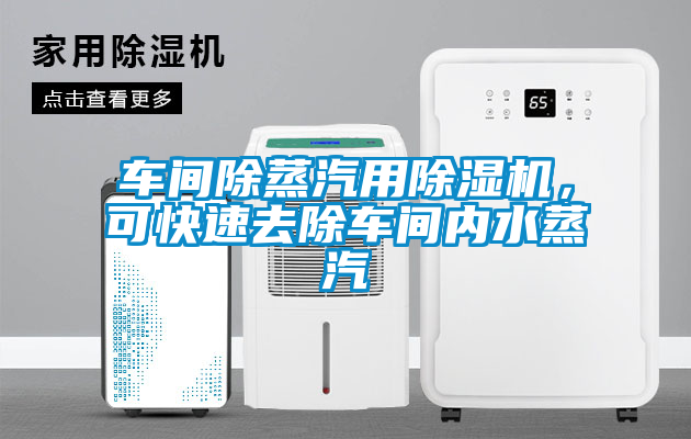 車間除蒸汽用除濕機，可快速去除車間內(nèi)水蒸汽