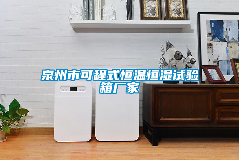 泉州市可程式恒溫恒濕試驗(yàn)箱廠家