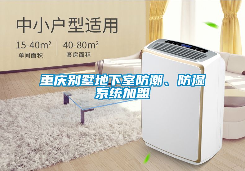 重慶別墅地下室防潮、防濕系統(tǒng)加盟
