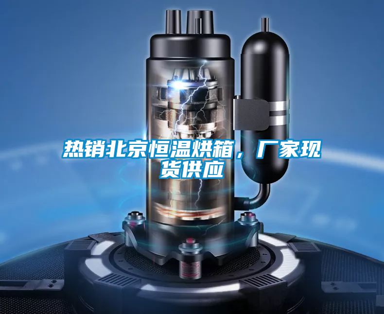 熱銷(xiāo)北京恒溫烘箱，廠(chǎng)家現(xiàn)貨供應(yīng)