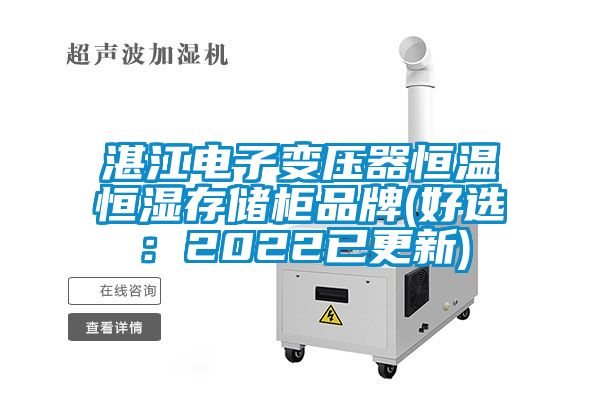 湛江電子變壓器恒溫恒濕存儲(chǔ)柜品牌(好選：2022已更新)
