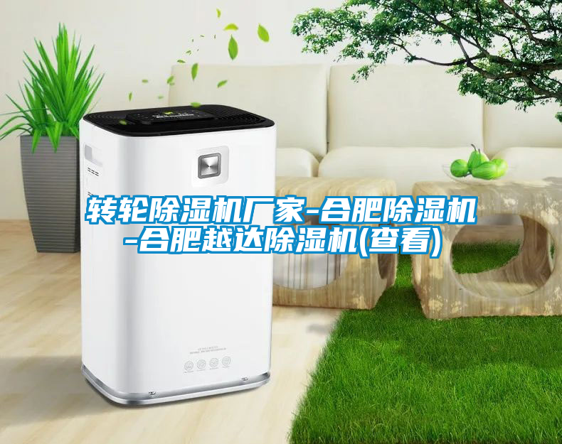 轉(zhuǎn)輪除濕機廠家-合肥除濕機-合肥越達(dá)除濕機(查看)