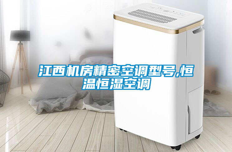 江西機房精密空調(diào)型號,恒溫恒濕空調(diào)