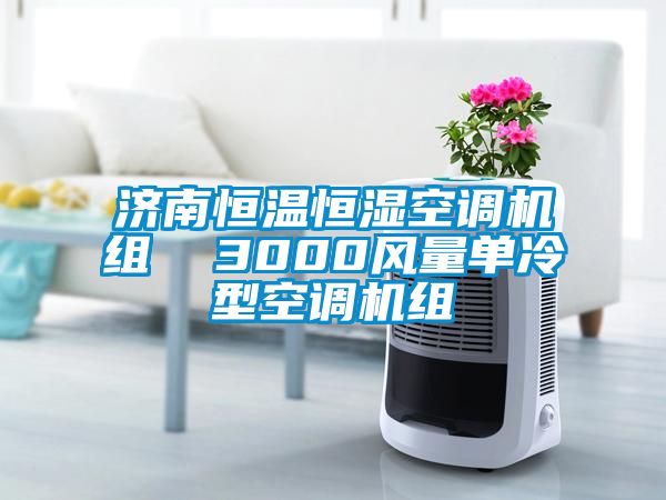 濟(jì)南恒溫恒濕空調(diào)機組  3000風(fēng)量單冷型空調(diào)機組